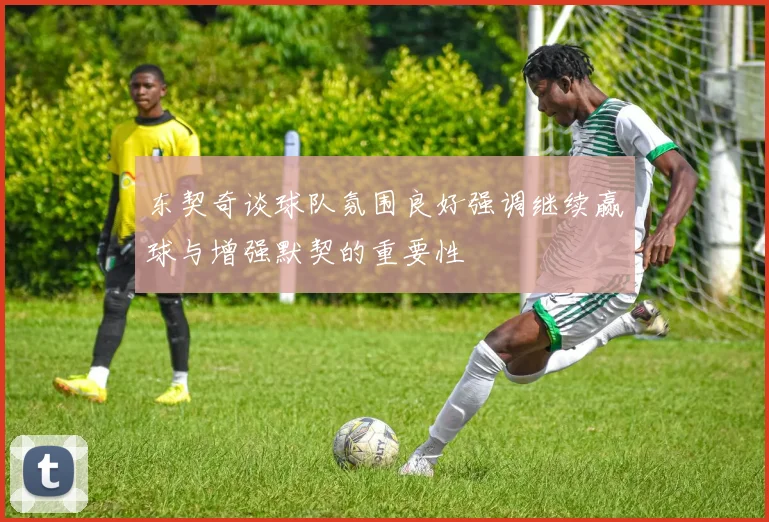 东契奇谈球队氛围良好强调继续赢球与增强默契的重要性
