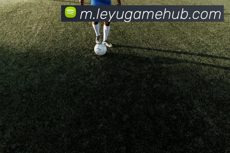 App Interface Preview